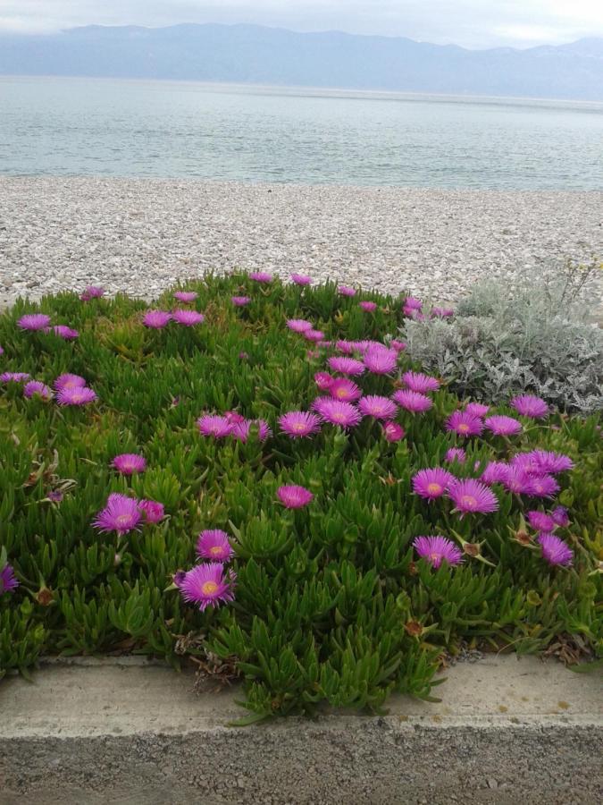 Apartman Bolob Baska  Bagian luar foto